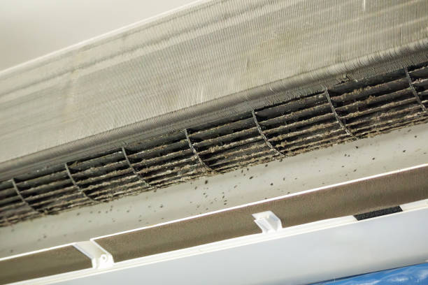 Best Best Air Duct Cleaning Company  in Westville, IN